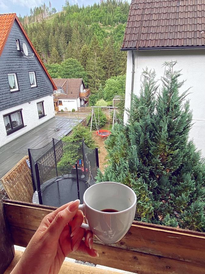 Harzgemuetlichkeit Fuer 2 Personen Und Haustier - Altenau! Altenau  Bagian luar foto